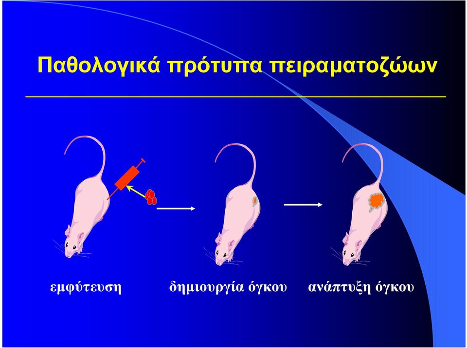 εµφύτευση