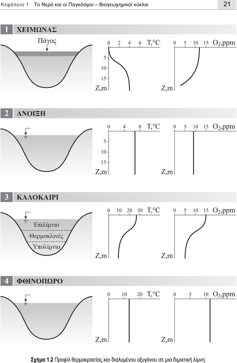 20 30 T, C 0 5 10 15 O 2,ppm Eπιλίμνιο Θερμοκλινές Yπολίμνιο Z,m Z,m 4 ΦΘINOΠΩPO T, C 0 10 20 5 0