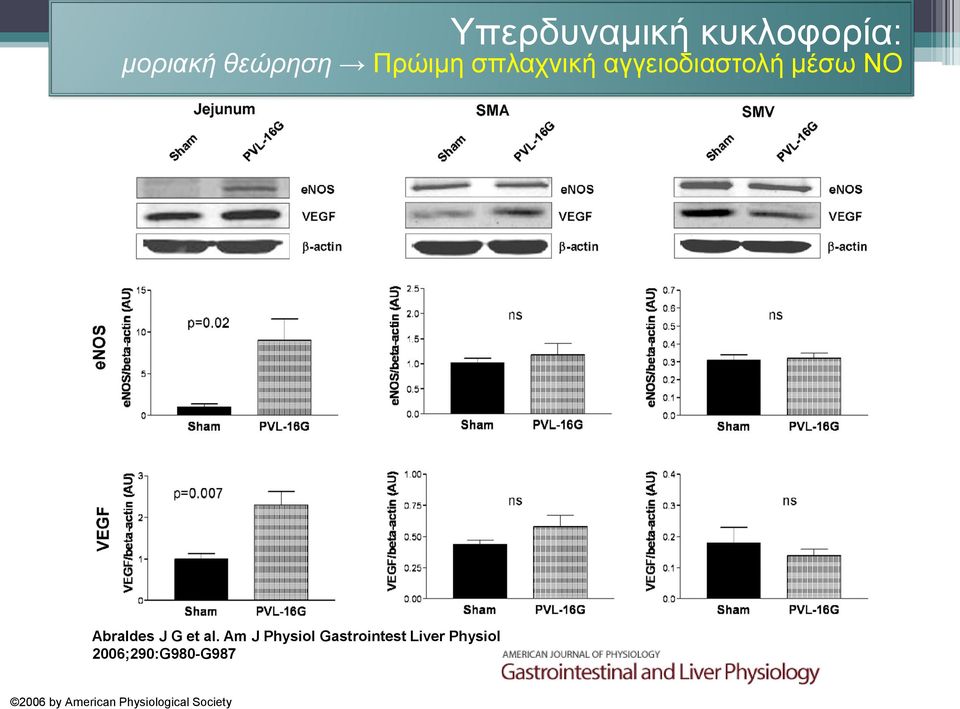 μέσω ΝΟ Abraldes J G et al.