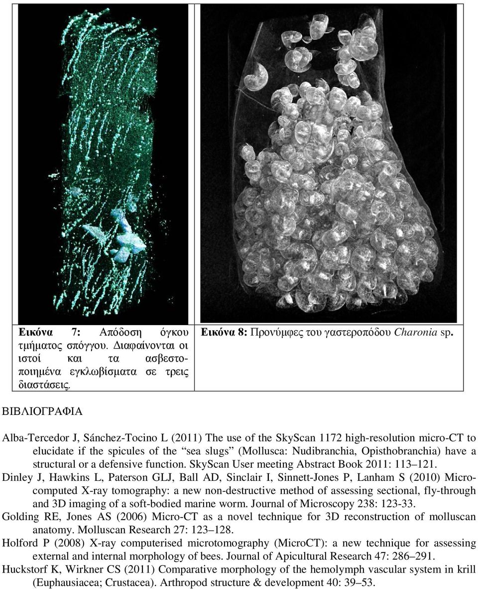 a structural or a defensive function. SkyScan User meeting Abstract Book 2011: 113 121.