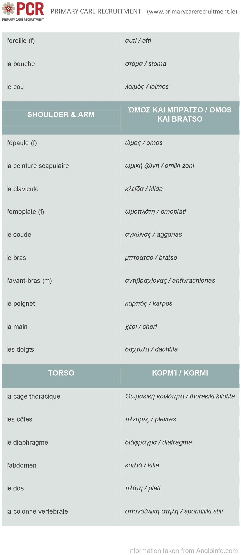 / antivrachionas le poignet καρπός / karpos la main χέρι / cheri les doigts δάχτυλα / dachtila TORSO ΚΟΡΜΊ / KORMI la cage thoracique Θωρακική κοιλότητα / thorakiki