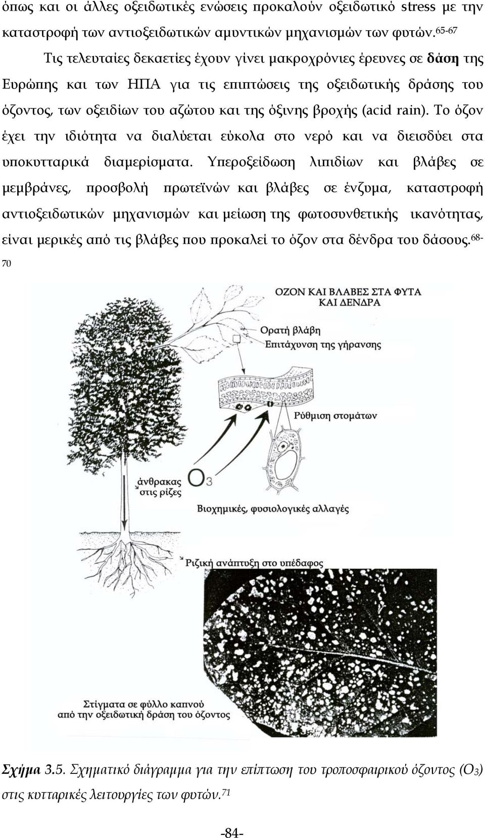 (acid rain). Το όζον έχει την ιδιότητα να διαλύεται εύκολα στο νερό και να διεισδύει στα υποκυτταρικά διαμερίσματα.