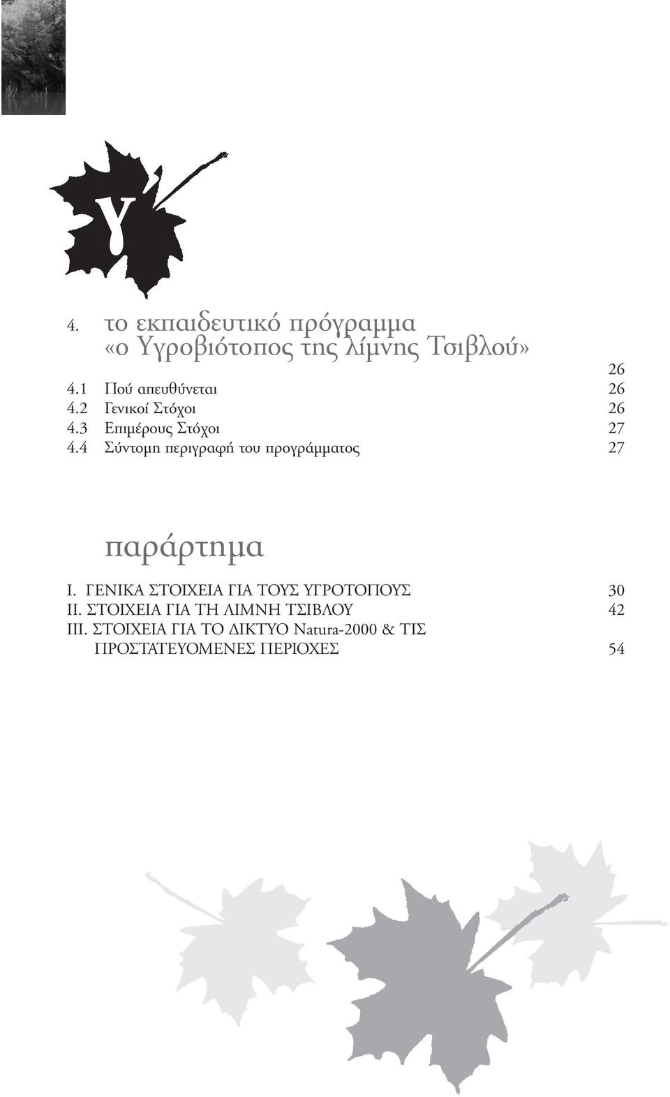 4 Σύντοµη περιγραφή του προγράµµατος 27 παράρτηµα Ι.