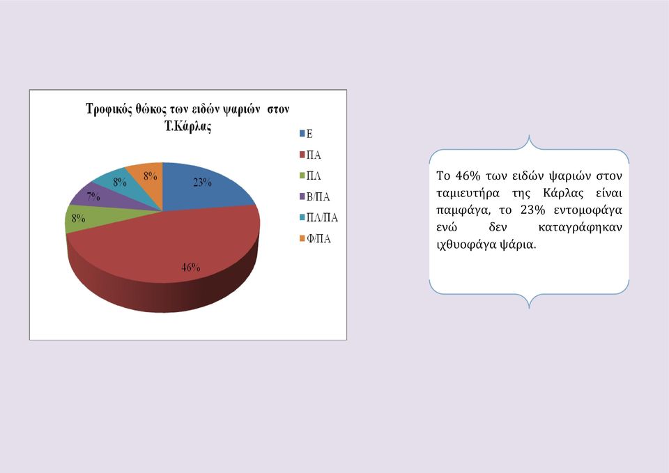 παμφάγα, το 23% εντομοφάγα ενώ