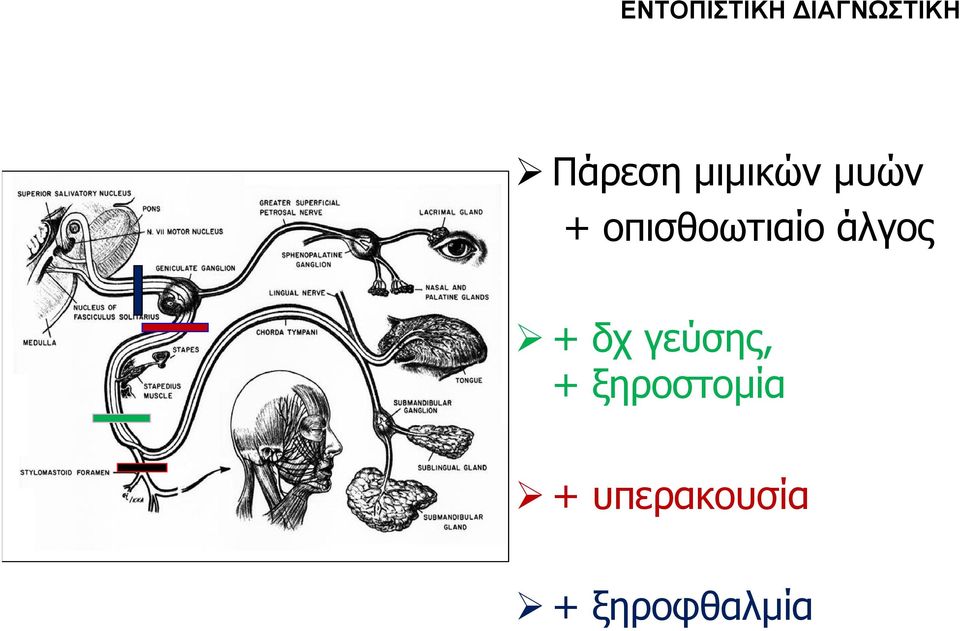άλγος + δχ γεύσης, +