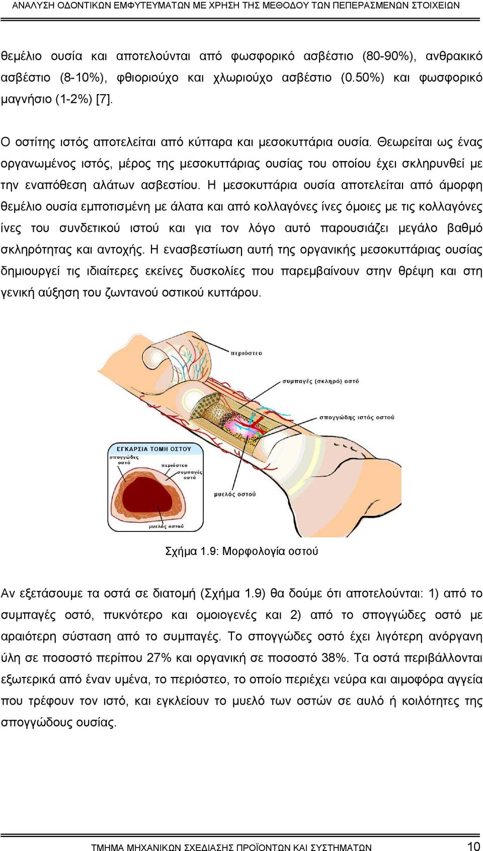 Η µεσοκυττάρια ουσία αποτελείται από άµορφη θεµέλιο ουσία εµποτισµένη µε άλατα και από κολλαγόνες ίνες όµοιες µε τις κολλαγόνες ίνες του συνδετικού ιστού και για τον λόγο αυτό παρουσιάζει µεγάλο