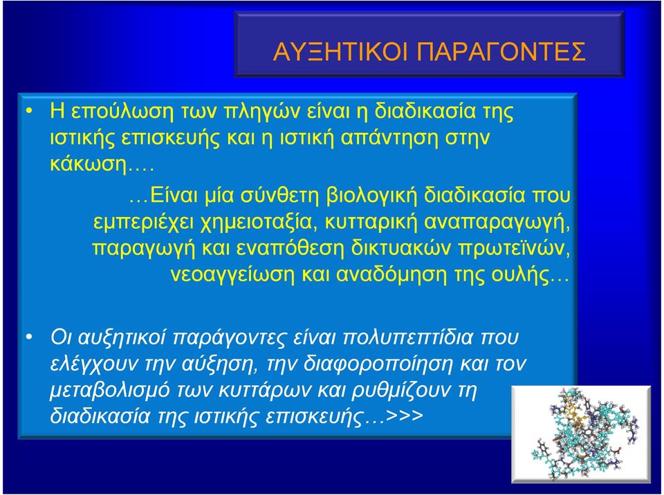 Είναι µία σύνθετη βιολογική διαδικασία που εµπεριέχει χηµειοταξία, κυτταρική αναπαραγωγή, παραγωγή και εναπόθεση