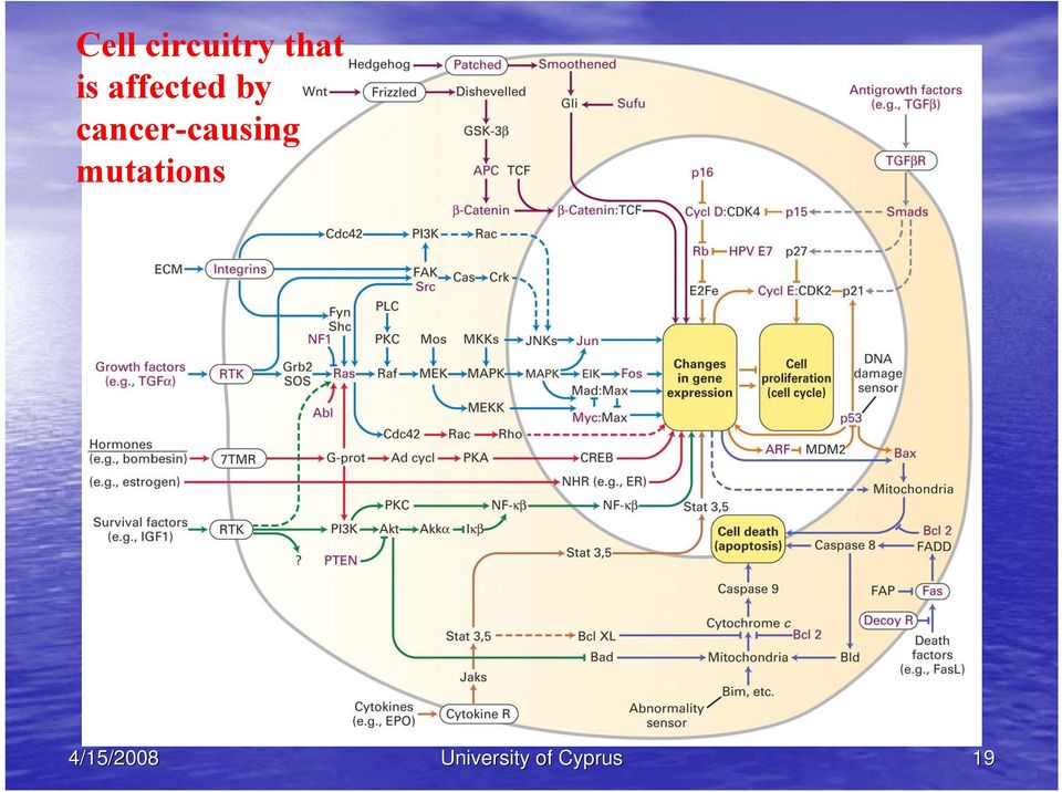 cancer-causing