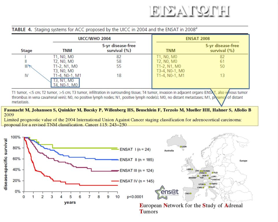 International Union Against Cancer staging classification for adrenocortical carcinoma: