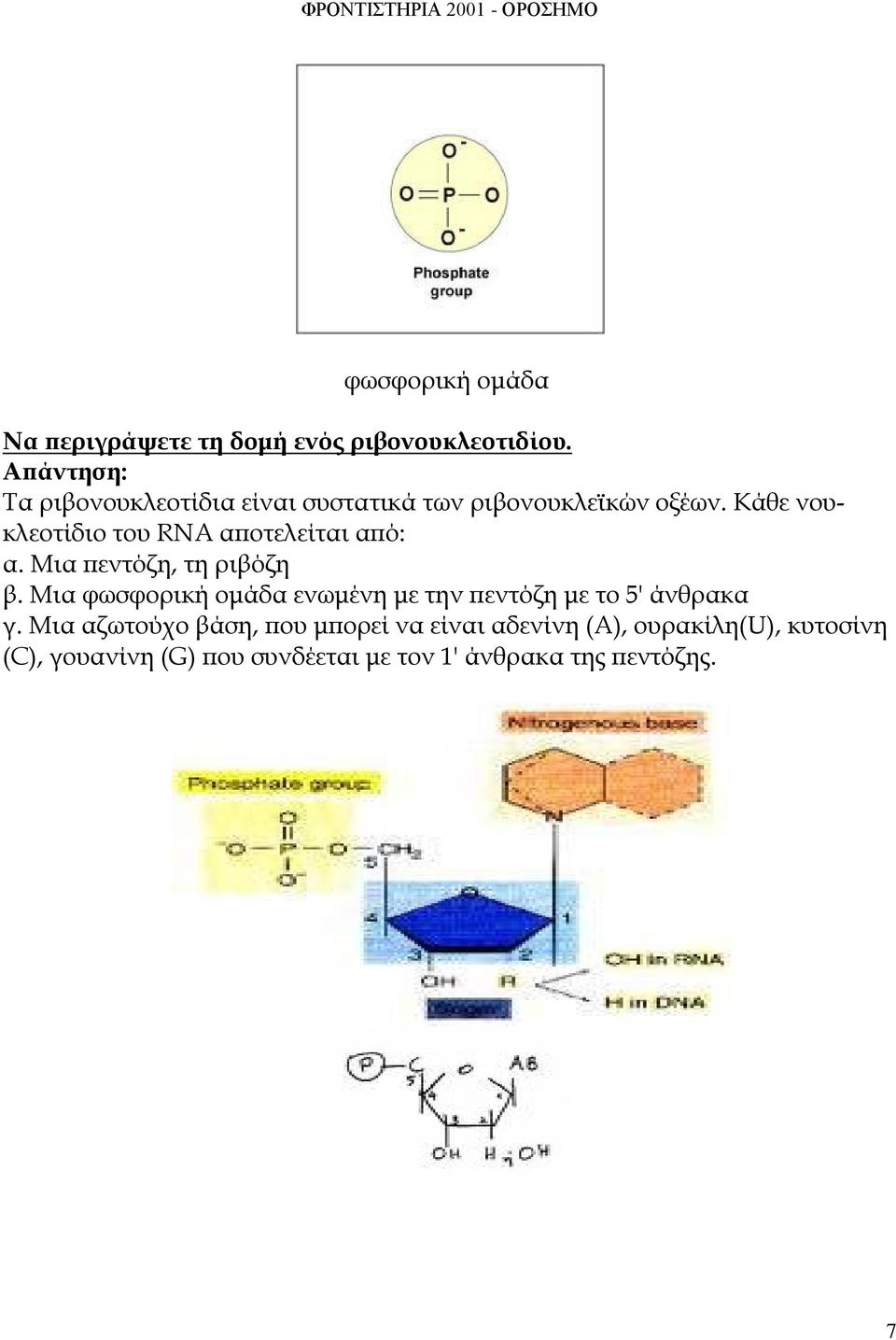 Κάθε νουκλεοτίδιο του RNA αποτελείται από: α. Mια πεντόζη, τη ριβόζη β.