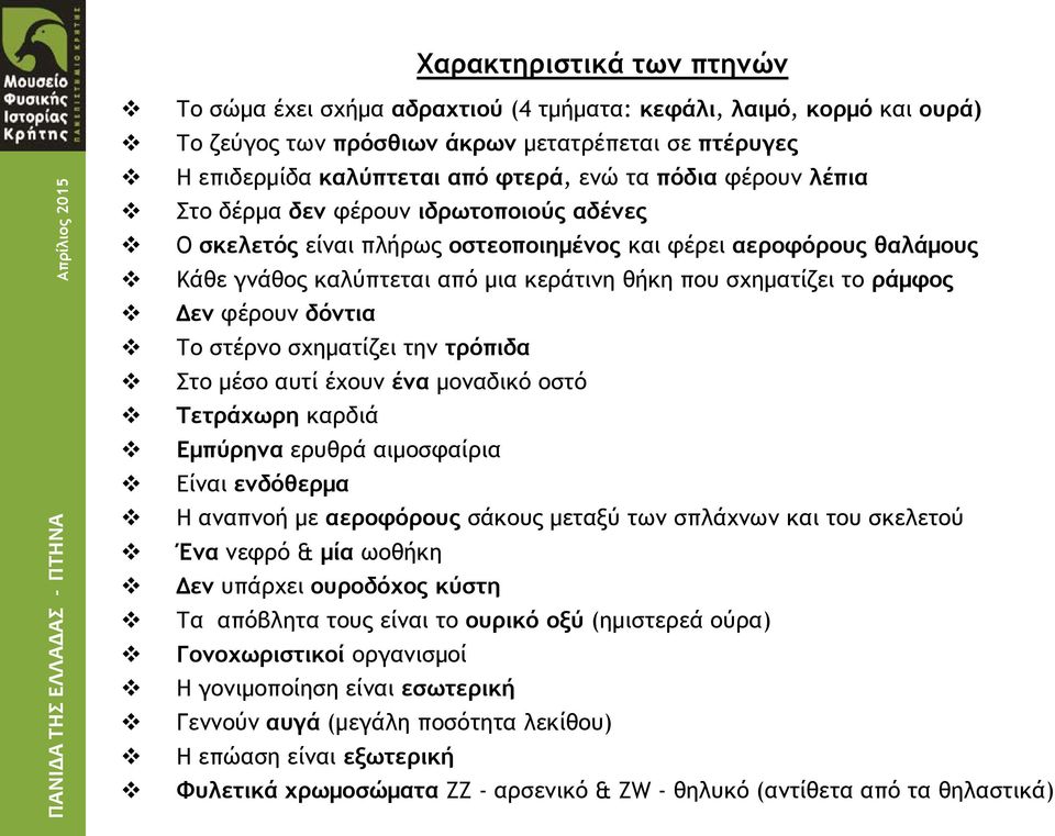 φέρουν δόντια Το στέρνο σχηματίζει την τρόπιδα Στο μέσο αυτί έχουν ένα μοναδικό οστό Τετράχωρη καρδιά Εμπύρηνα ερυθρά αιμοσφαίρια Είναι ενδόθερμα Η αναπνοή με αεροφόρους σάκους μεταξύ των σπλάχνων