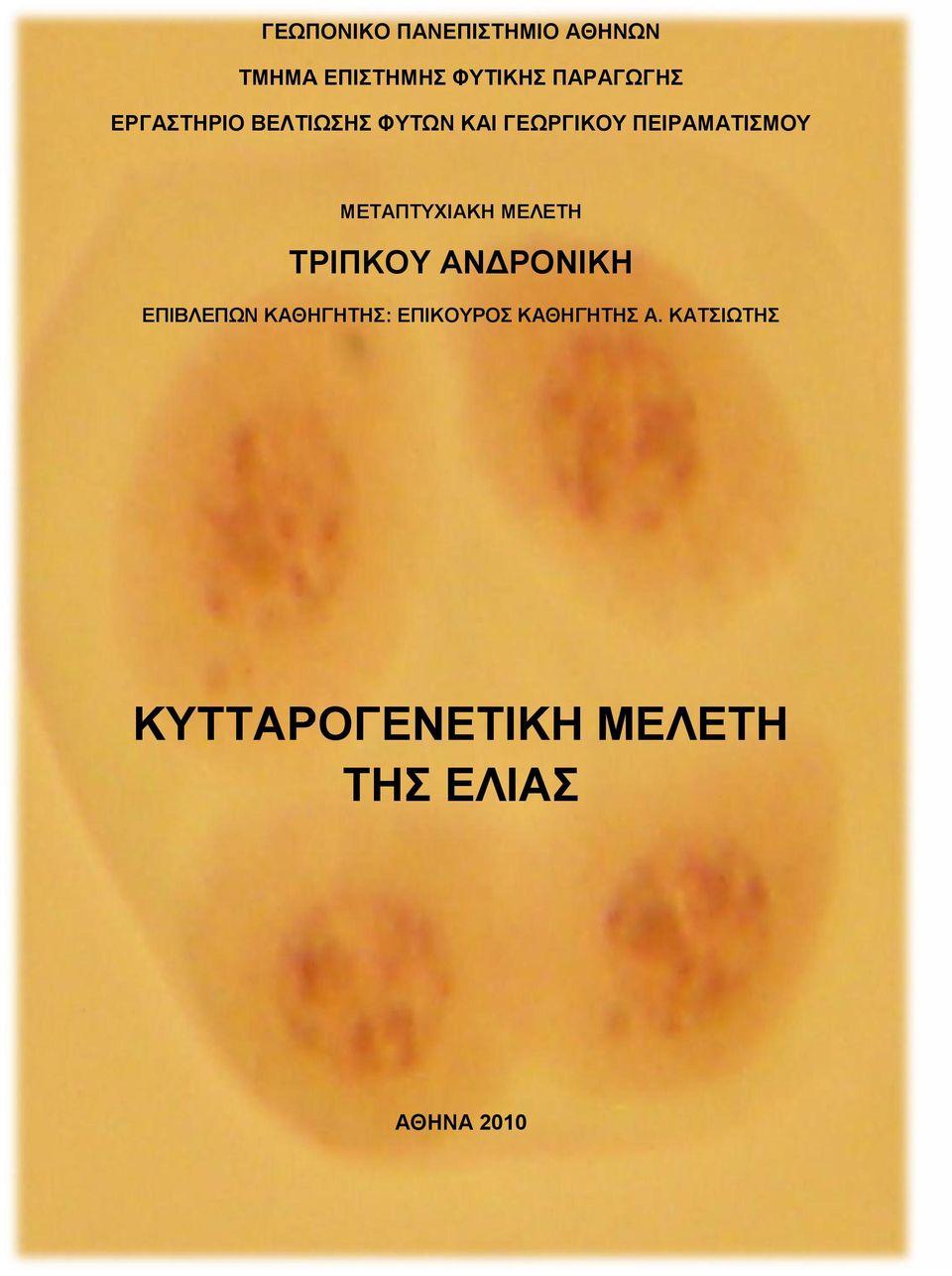 ΜΕΤΑΠΤΥΧΙΑΚΗ ΜΕΛΕΤΗ ΤΡΙΠΚΟΥ ΑΝΔΡΟΝΙΚΗ ΕΠΙΒΛΕΠΩΝ ΚΑΘΗΓΗΤΗΣ: