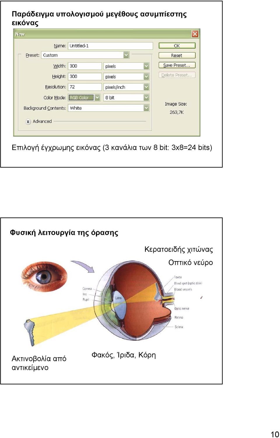 bits) Φυσική λειτουργία της όρασης Κερατοειδής χιτώνας