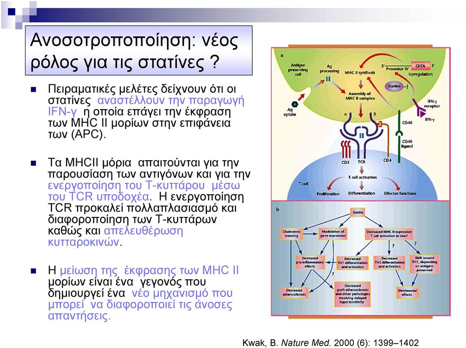 Τα MHCII μόρια απαιτούνται για την παρουσίαση των αντιγόνων και για την ενεργοποίηση του Τ-κυττάρου μέσω του TCR υποδοχέα.