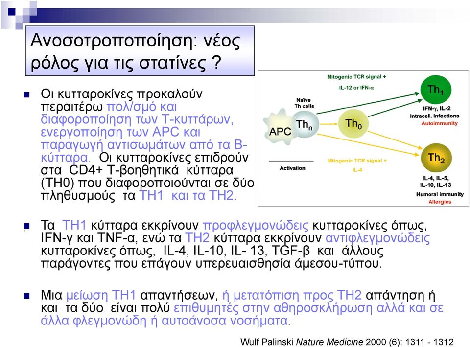 Οι κυτταροκίνες επιδρούν στα CD4+ Τ-βοηθητικά κύτταρα (TH0) που διαφοροποιούνται σε δύο πληθυσμούς τα TH1 και τα TH2.