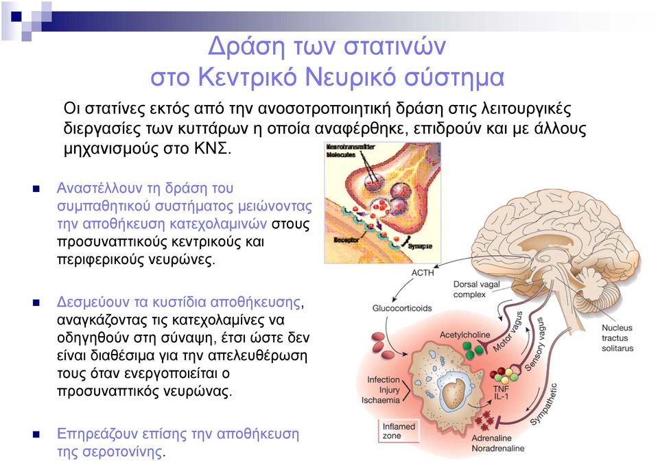 Αναστέλλουν τη δράση του συμπαθητικού συστήματος μειώνοντας την αποθήκευση κατεχολαμινών στους προσυναπτικούς κεντρικούς και περιφερικούς νευρώνες.