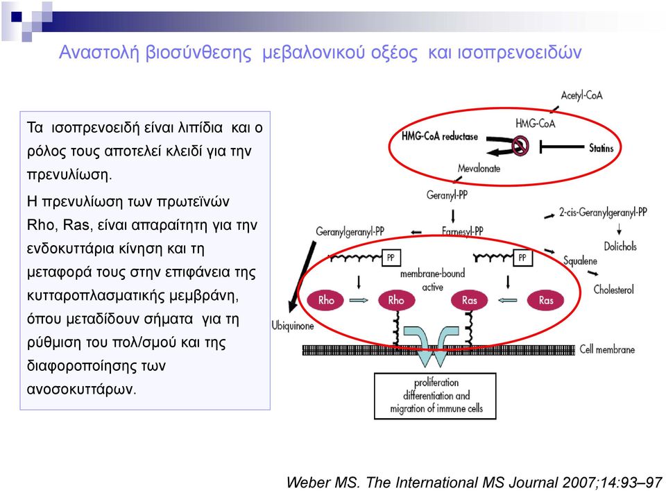 Η πρενυλίωση των πρωτεϊνών Rho, Ras, είναι απαραίτητη για την ενδοκυττάρια κίνηση και τη μεταφορά τους στην