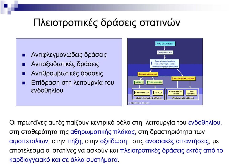 σταθερότητα της αθηρωματικής πλάκας, στη δραστηριότητα των αιμοπεταλίων, στην πήξη, στην οξείδωση, στις ανοσιακές