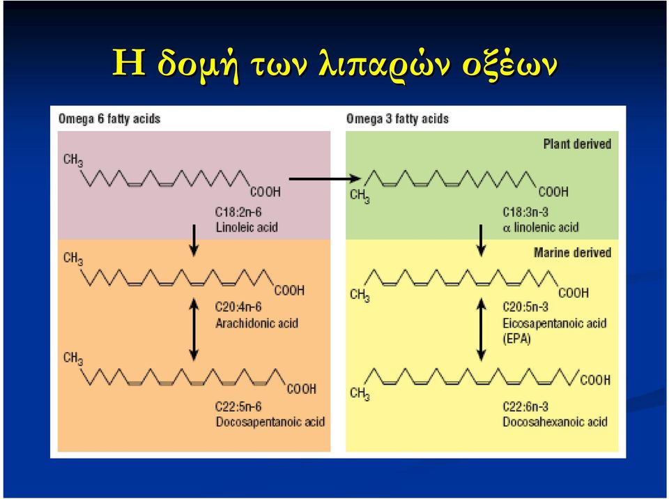 λιπαρών