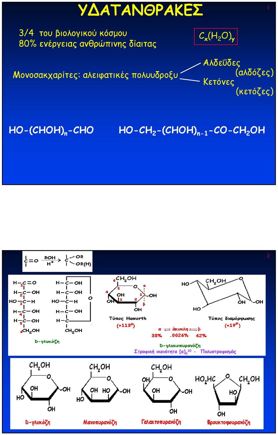 (H 2 O) y Αλδεΰδες (αλδόζες) Κετόνες (κετόζες) HO(CHOH) n CHO