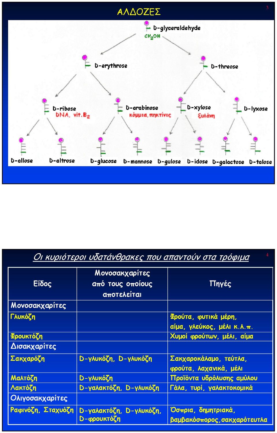 Dγαλακτόζη, Dγλυκόζη Dγαλακτόζη, Dγλυκόζη, Dφρουκτόζη Πηγές Φρούτα, φυτικά µέρη, αίµα, γλεύκος, µέλι κ.λ.π.