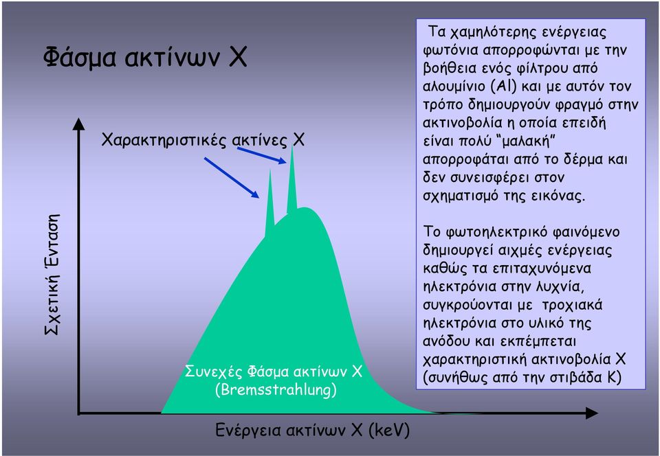 Σχετική Ένταση Συνεχές Φάσµα ακτίνων Χ (Bremsstrahlung) Το φωτοηλεκτρικό φαινόµενο δηµιουργεί αιχµές ενέργειας καθώς τα επιταχυνόµενα ηλεκτρόνια στην