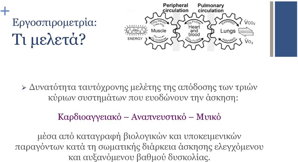 που ευοδώνουν την άσκηση: Καρδιοαγγειακό Αναπνευστικό Μυικό µέσα από
