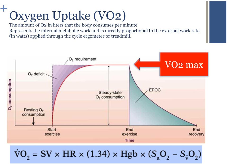work and is directly proportional to the external work rate