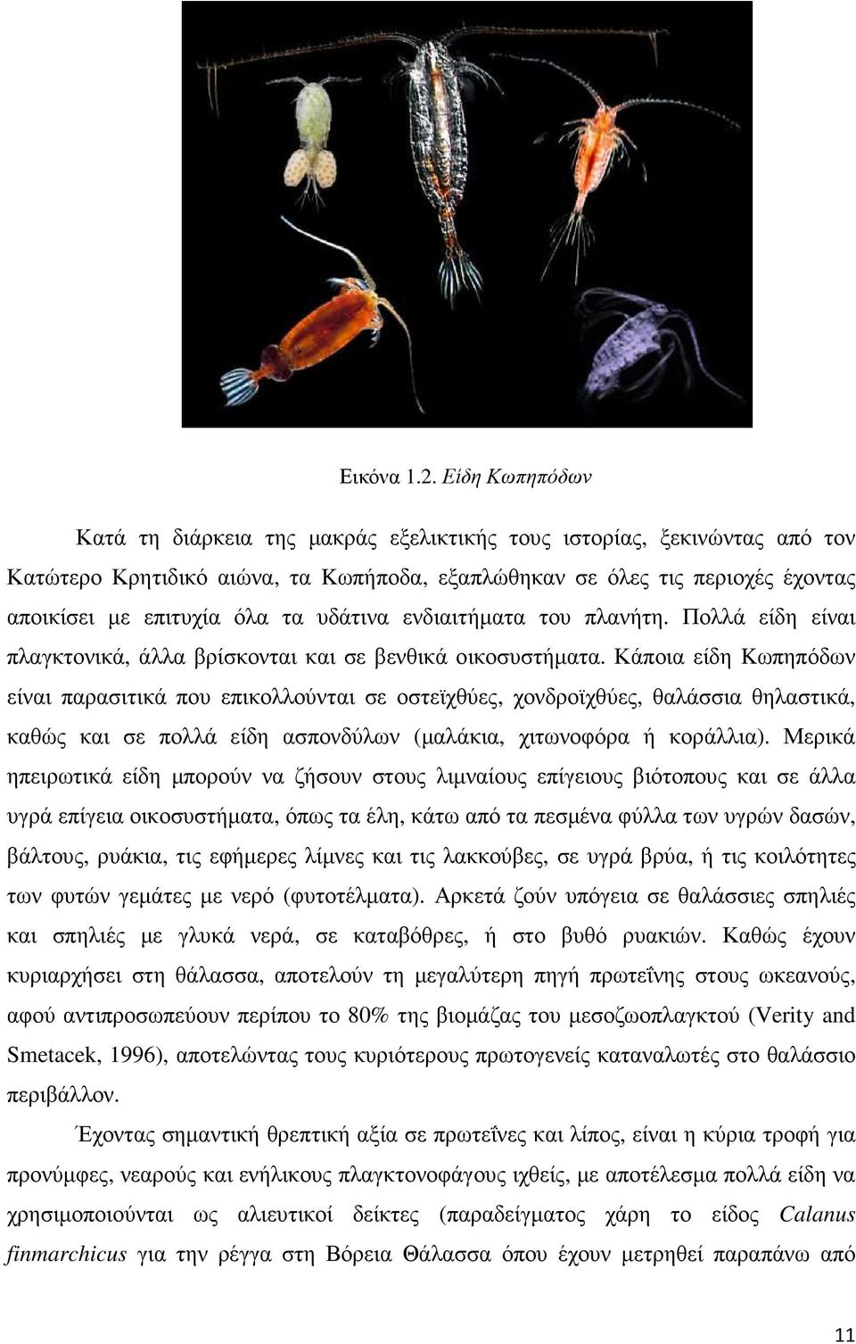 υδάτινα ενδιαιτήµατα του πλανήτη. Πολλά είδη είναι πλαγκτονικά, άλλα βρίσκονται και σε βενθικά οικοσυστήµατα.