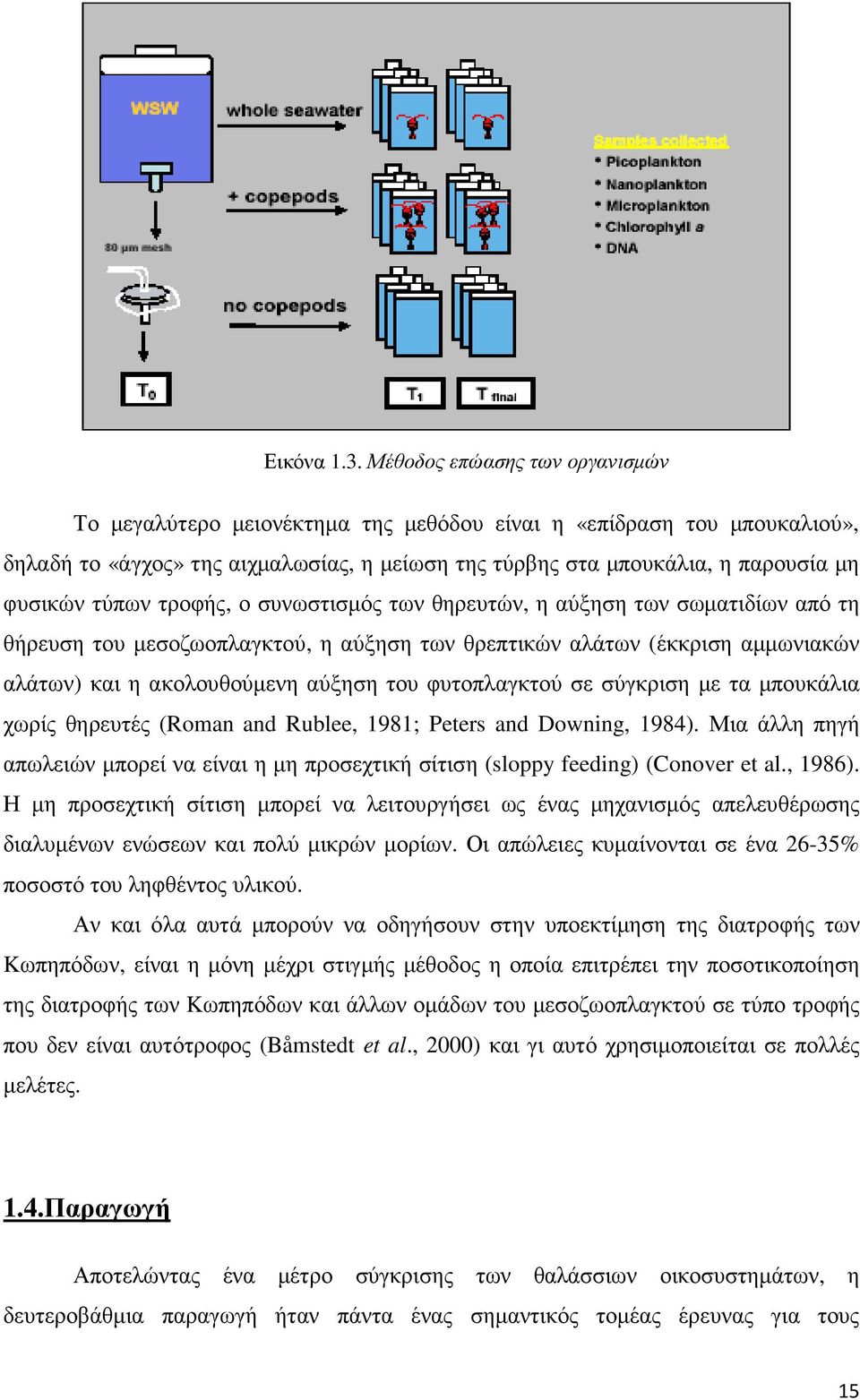 τύπων τροφής, ο συνωστισµός των θηρευτών, η αύξηση των σωµατιδίων από τη θήρευση του µεσοζωοπλαγκτού, η αύξηση των θρεπτικών αλάτων (έκκριση αµµωνιακών αλάτων) και η ακολουθούµενη αύξηση του