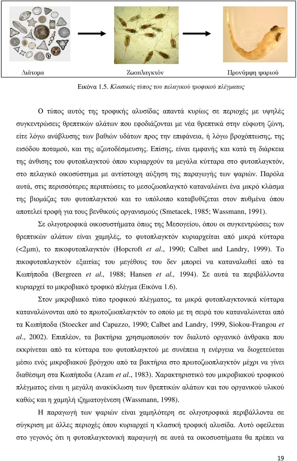 ζώνη, είτε λόγω ανάβλυσης των βαθιών υδάτων προς την επιφάνεια, ή λόγω βροχόπτωσης, της εισόδου ποταµού, και της αζωτοδέσµευσης.