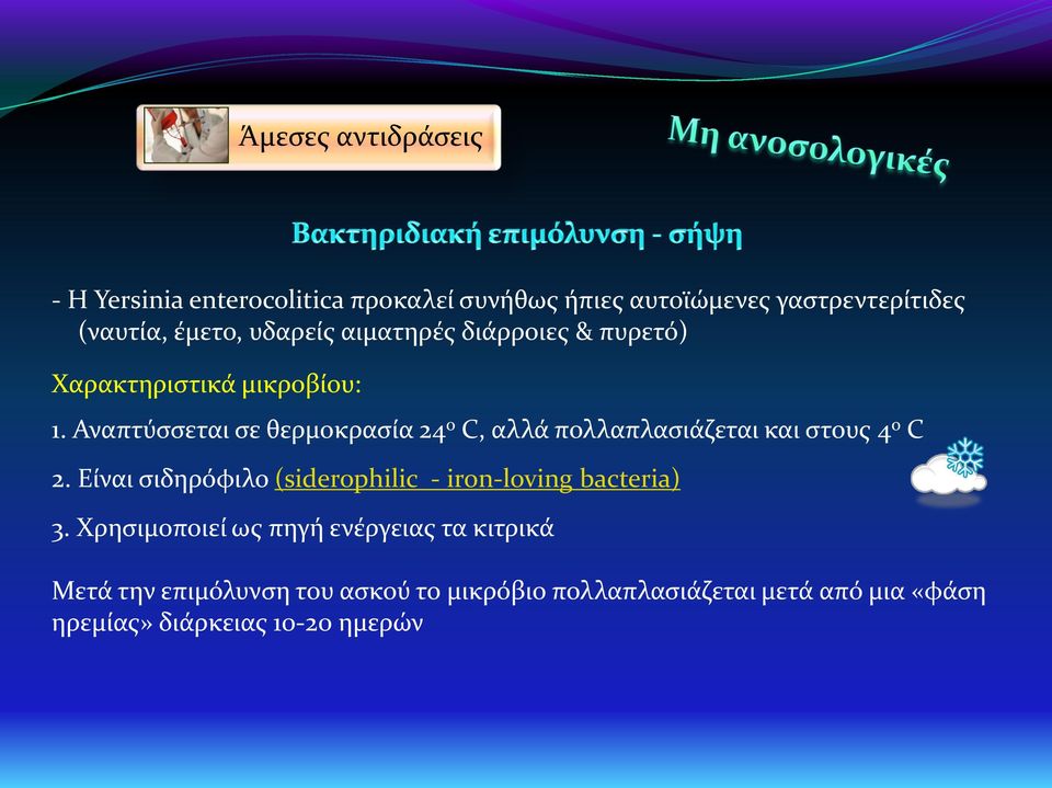 Αναπτύσσεται σε θερμοκρασία 24 ο C, αλλά πολλαπλασιάζεται και στους 4 ο C 2.