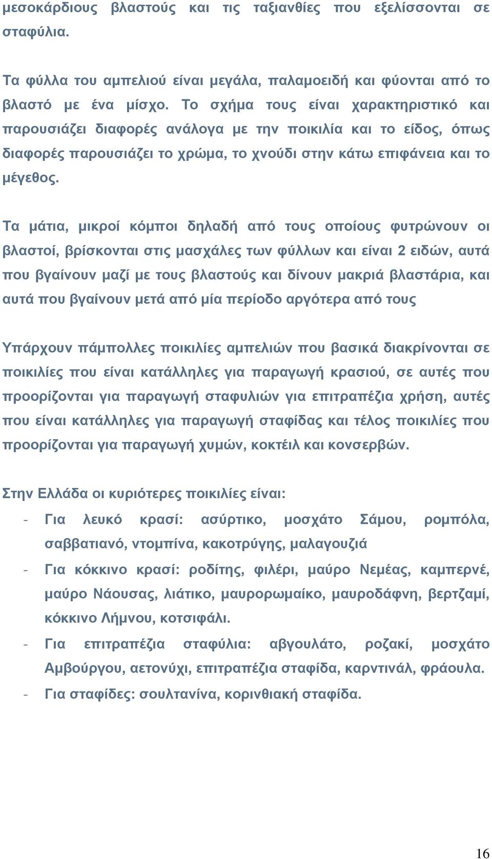 Τα μάτια, μικροί κόμποι δηλαδή από τους οποίους φυτρώνουν οι βλαστοί, βρίσκονται στις μασχάλες των φύλλων και είναι 2 ειδών, αυτά που βγαίνουν μαζί με τους βλαστούς και δίνουν μακριά βλαστάρια, και