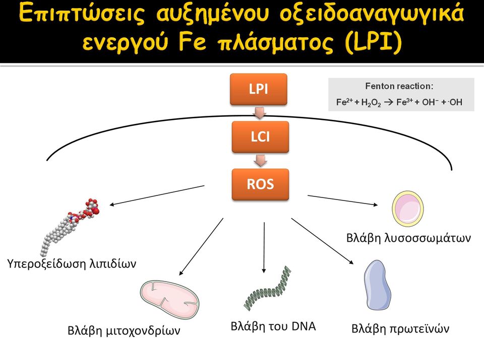 λιπιδίων Βλάβη