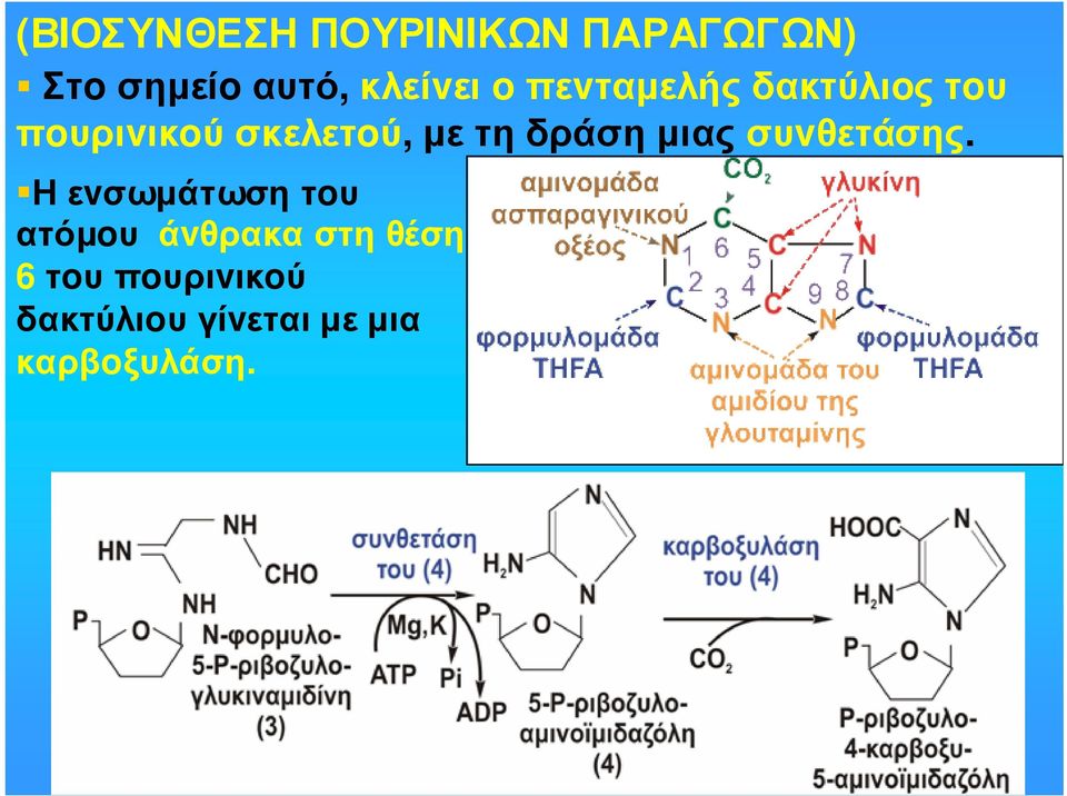 µετηδράσηµιαςσυvθετάσης.