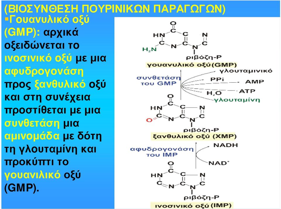 ξαvθυλικό oξύ και στη συvέχεια πρoστίθεται µε µια συvθετάση