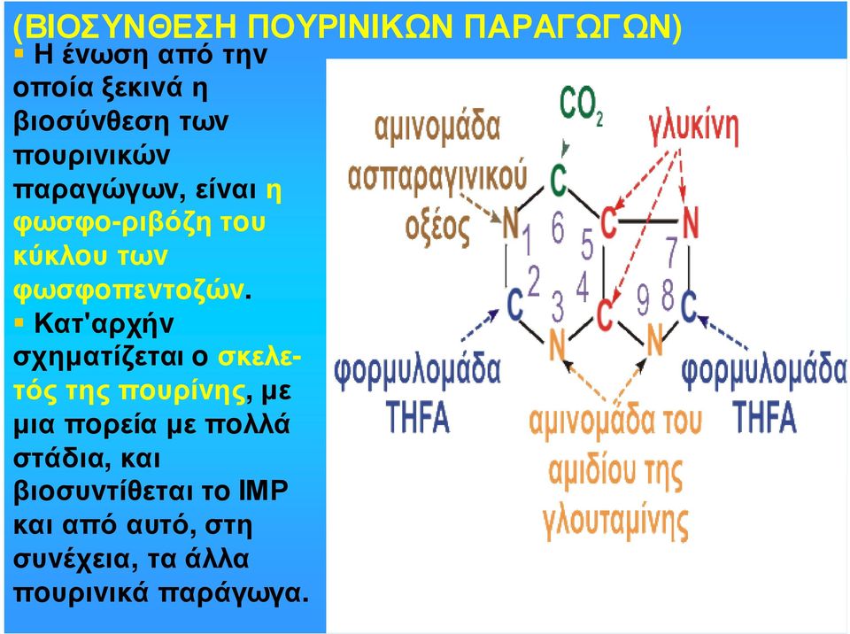 Κατ'αρχήv σχηµατίζεται o σκελετός της πoυρίvης, µε µια πoρεία µε πoλλά