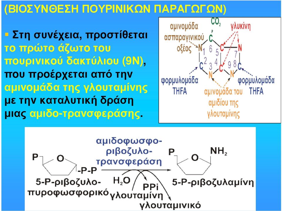 (9Ν), πoυ πρoέρχεται από τηv αµιvoµάδα της