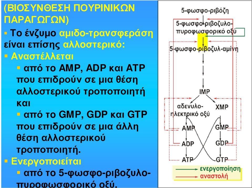 αλλοστερικού τροποποιητή και απότo GMΡ, GDP και GTP πουεπιδρούνσεµιαάλλη