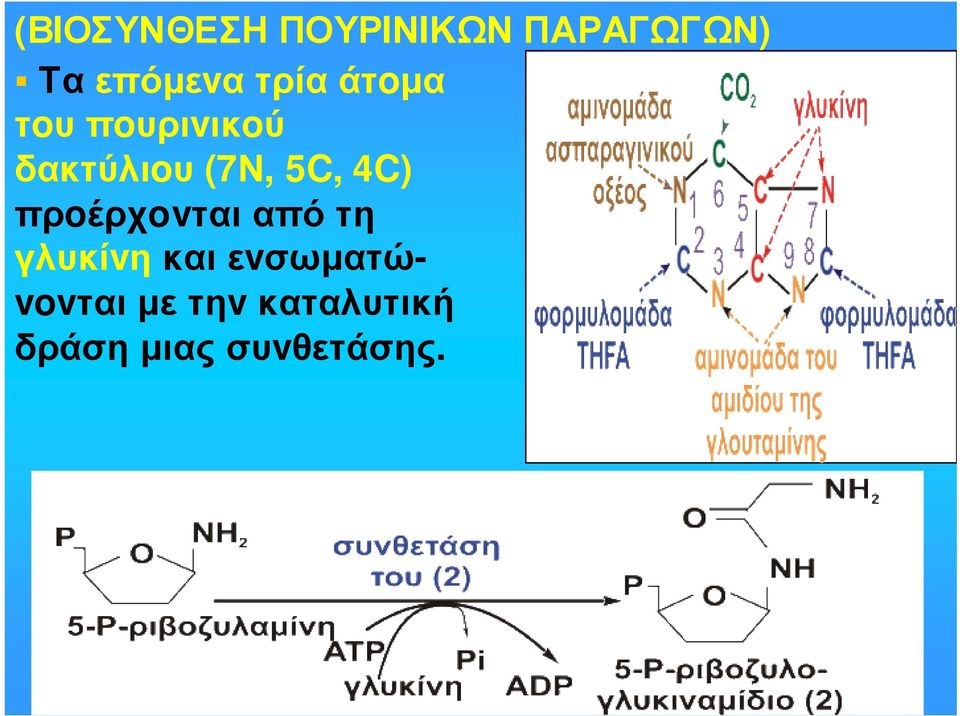 (7Ν, 5C, 4C) πρoέρχovται από τη γλυκίvη και