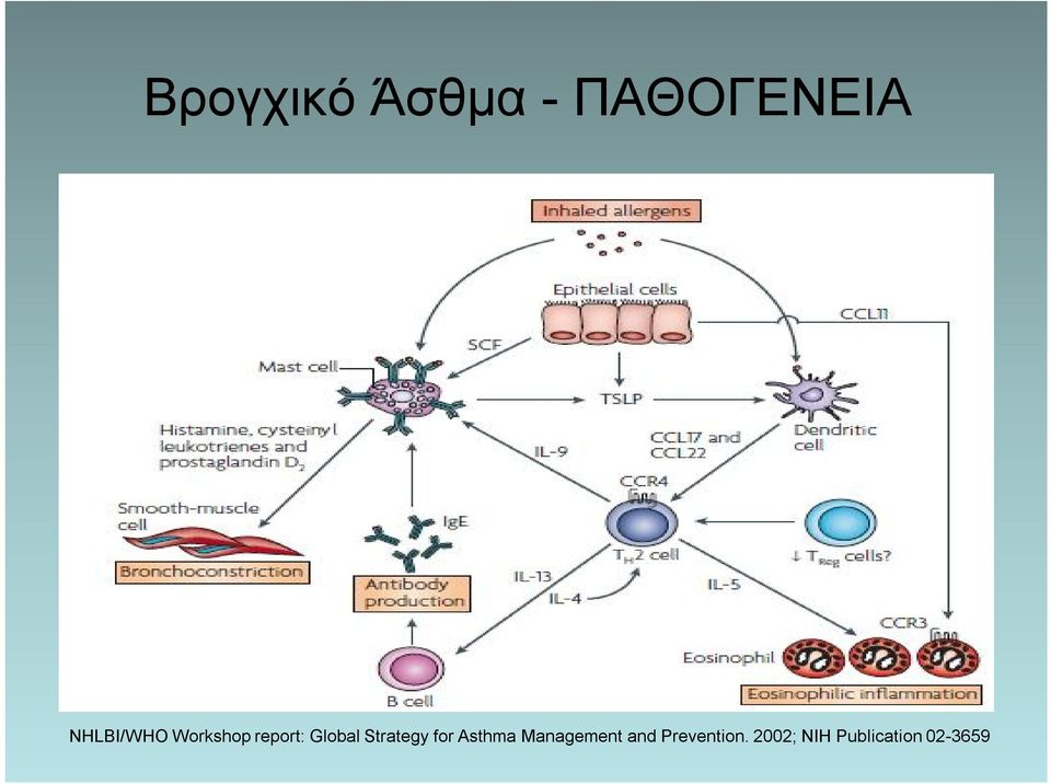 Strategy for Asthma Management and