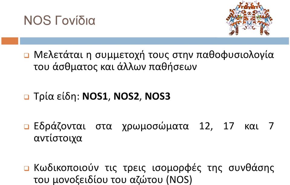 Εδράζονται στα χρωμοσώματα 12, 17 και 7 αντίστοιχα