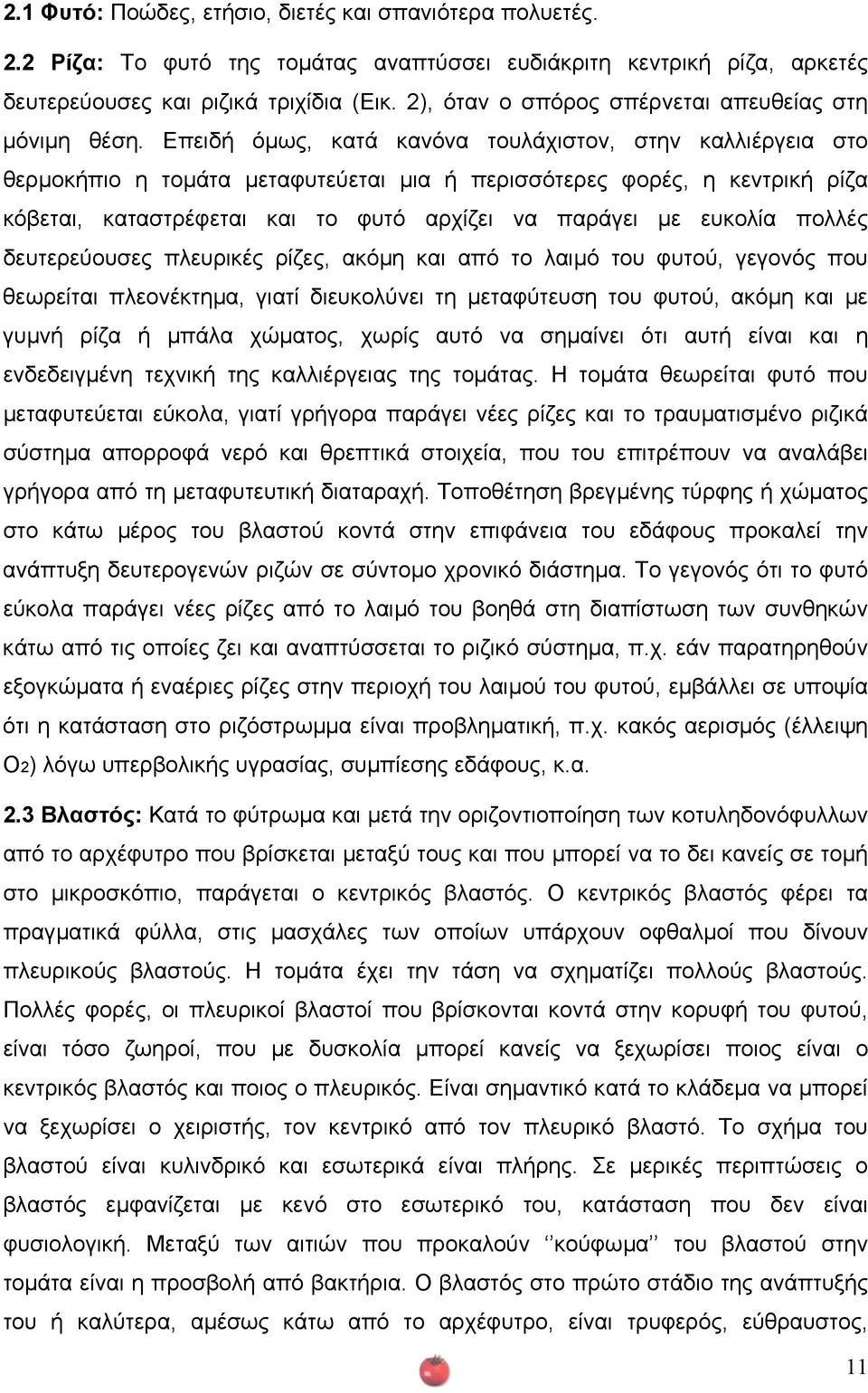 Επειδή όµως, κατά κανόνα τουλάχιστον, στην καλλιέργεια στο θερµοκήπιο η τοµάτα µεταφυτεύεται µια ή περισσότερες φορές, η κεντρική ρίζα κόβεται, καταστρέφεται και το φυτό αρχίζει να παράγει µε ευκολία