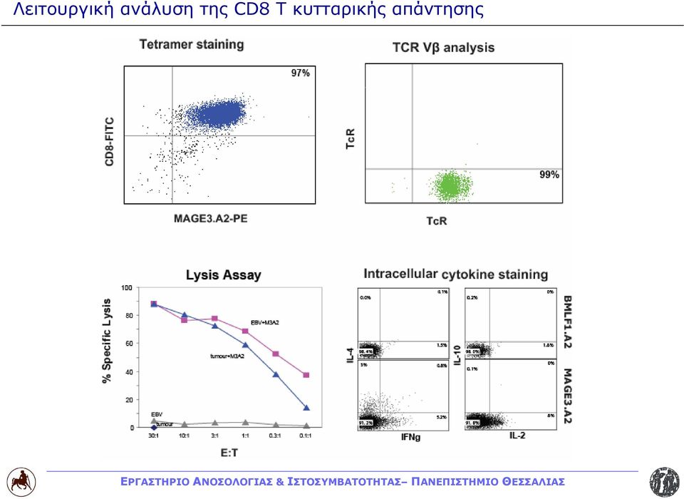 CD8 T