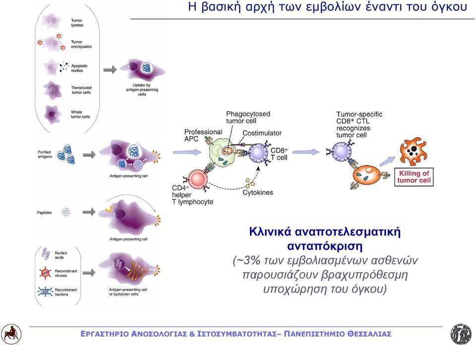 ανταπόκριση (~3% των εμβολιασμένων