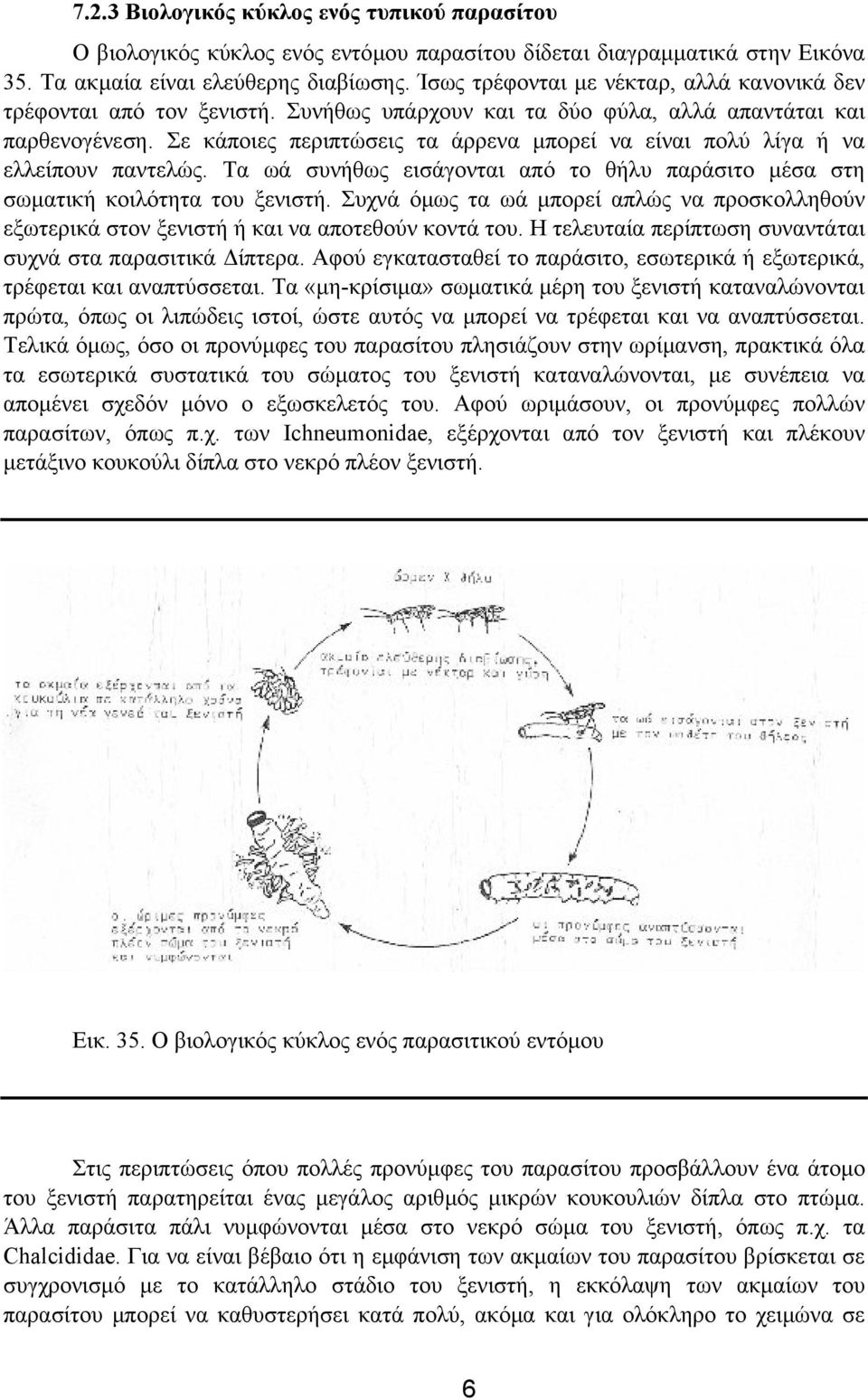 Σε κάποιες περιπτώσεις τα άρρενα µπορεί να είναι πολύ λίγα ή να ελλείπουν παντελώς. Τα ωά συνήθως εισάγονται από το θήλυ παράσιτο µέσα στη σωµατική κοιλότητα του ξενιστή.