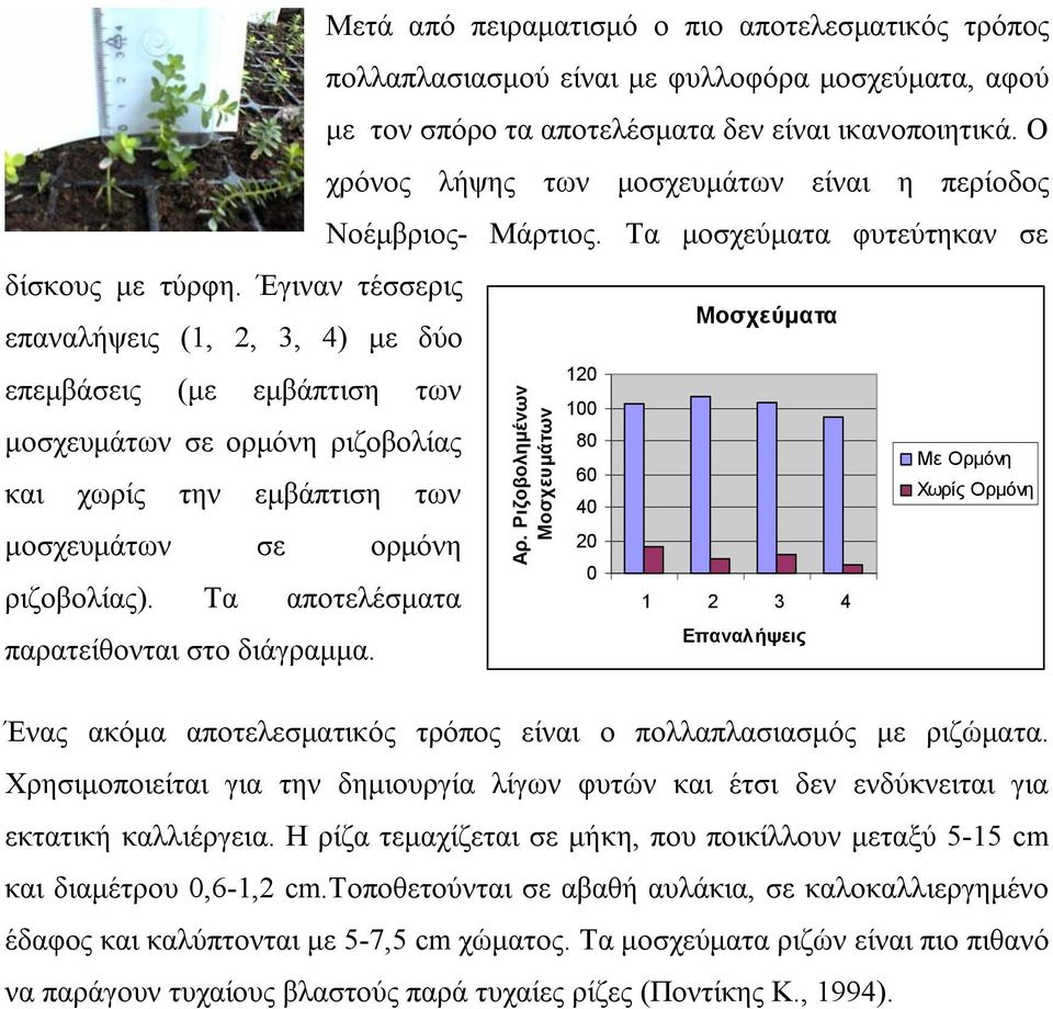 Έγιναν τέσσερις Μοσχεύματα επαναλήψεις (1, 2, 3, 4) με δύο επεμβάσεις (με εμβάπτιση των μοσχευμάτων σε ορμόνη ριζοβολίας και χωρίς την εμβάπτιση των μοσχευμάτων σε ορμόνη ριζοβολίας).