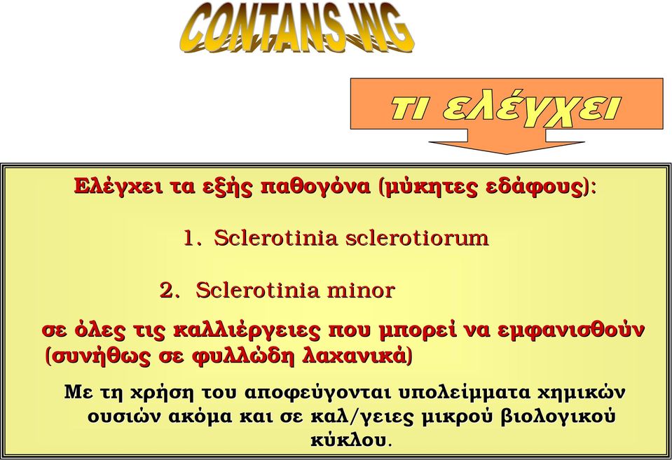 Sclerotinia minor σε όλες τις καλλιέργειες που μπορεί να εμφανισθούν