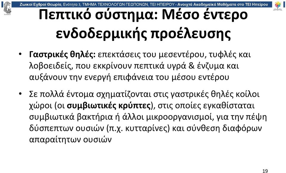 έντομα σχηματίζονται στις γαστρικές θηλές κοίλοι χώροι (οι συμβιωτικές κρύπτες), στις οποίες εγκαθίσταται