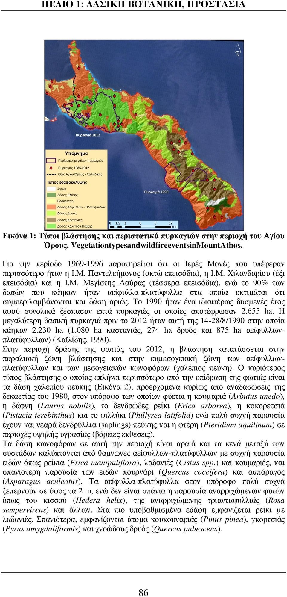 νές που υπέφεραν περισσότερο ήταν η Ι.Μ. Παντελεήµονος (οκτώ επεισόδια), η Ι.Μ. Χιλανδαρίου (έξι επεισόδια) και η Ι.Μ. Μεγίστης Λαύρας (τέσσερα επεισόδια), ενώ το 90% των δασών που κάηκαν ήταν αείφυλλα-πλατύφυλλα στα οποία εκτιµάται ότι συµπεριλαµβάνονται και δάση αριάς.